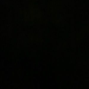 Meet your Posher, Waynelle